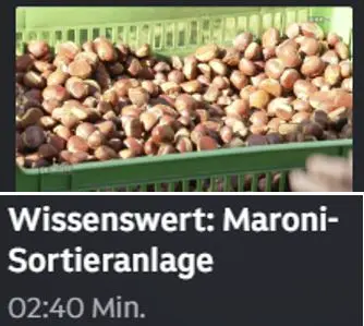 ORF Steiermark und Prof. DI Simon Berner vom Joanneum Graz zu Besuch bei den Kaestnklauban